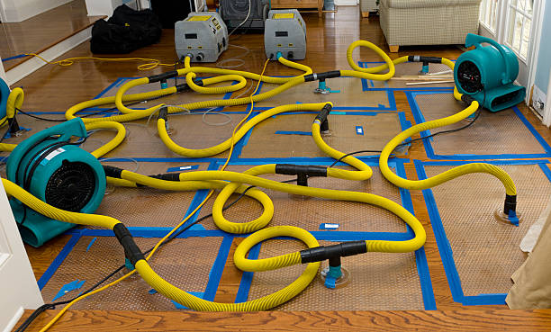 Professional Flood Damage Restoration technician working in White Rock, NM